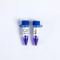 O ácido nucleico tinge a eletroforese do marcador do ADN para emparelhar LD DS 2000 LM1101 LM1102
