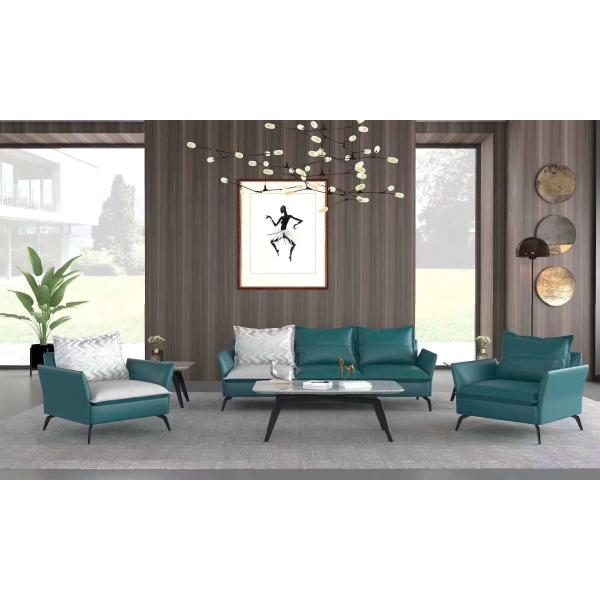 Fabric / Leather Cushion 2 Seater Contemporary Living Room Sofa