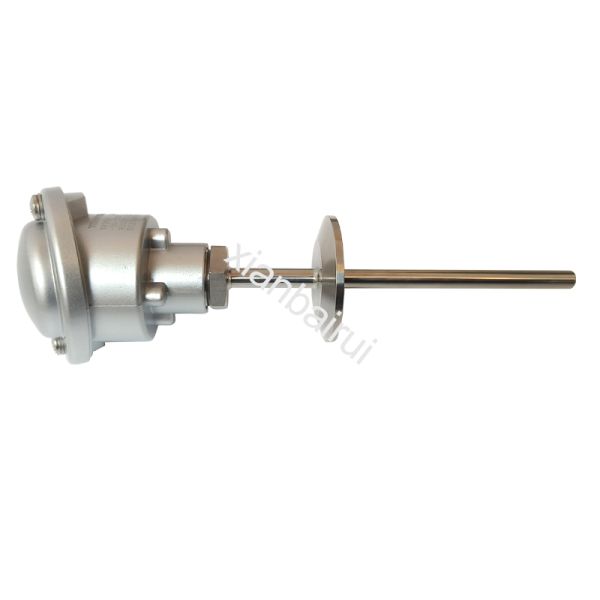 Platinum Resistor RTD Temperature Sensor with 4-20mA Output for Food Industry Applications