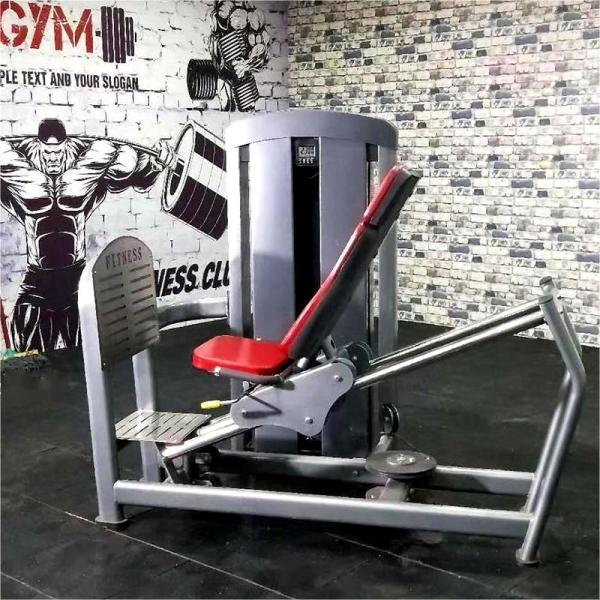 1.7*1.3*2.1 Medium Loader Steel Seated Leg Press Gym Machine for Strength Training