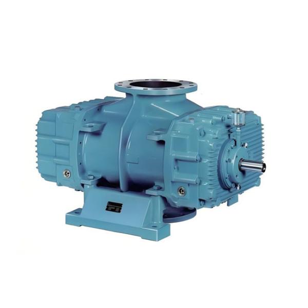 Energy-Saving Roots Vacuum Pump For Ethanol Gas Extraction