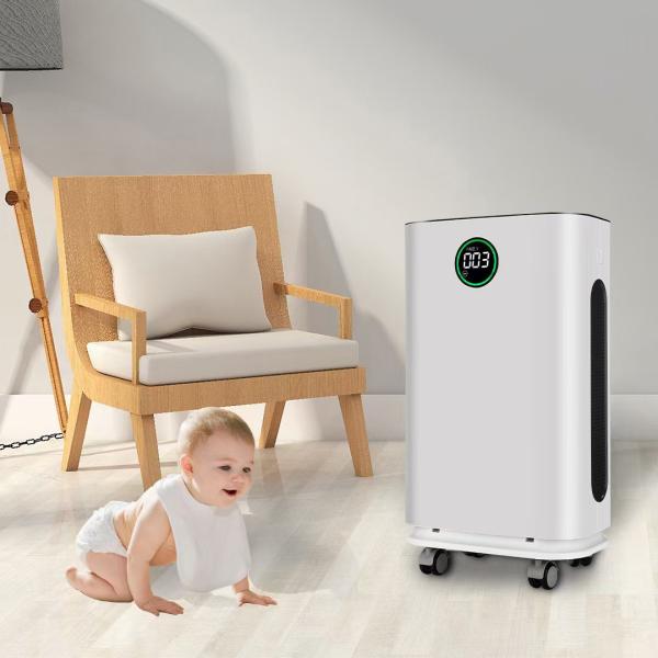 US CA Humidificateur Purificateur d'air Pour la maison Neige fraîche Purificateur d'air Wifi Pour la maison Grande pièce