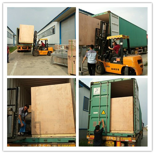 O animal de estimação dental mastiga a maquinaria pressionada dos ossos do couro cru com couro, pele de porco, tendões de carne