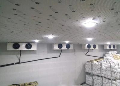 Customized 100mm Panel Cooling Storage Room 42KG/M3 Density Cold Room For Meat Storage