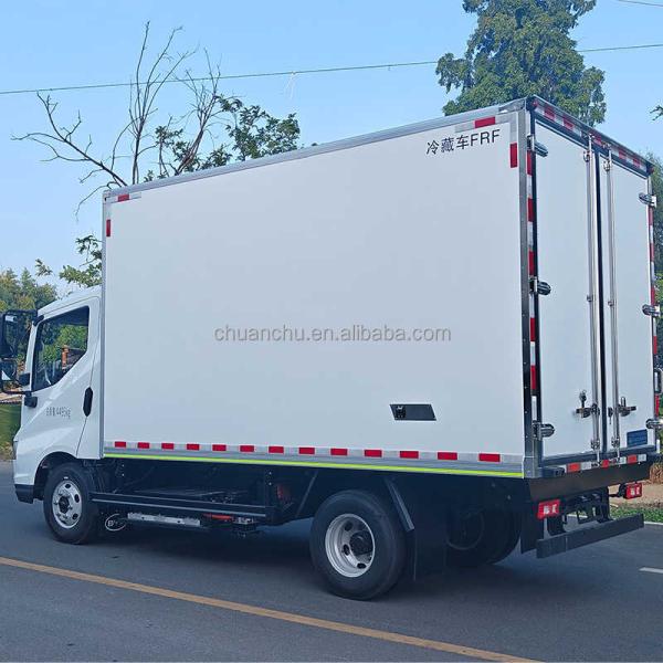 Camion frigorifique électrique pur panneaux FRP avec porte latérale