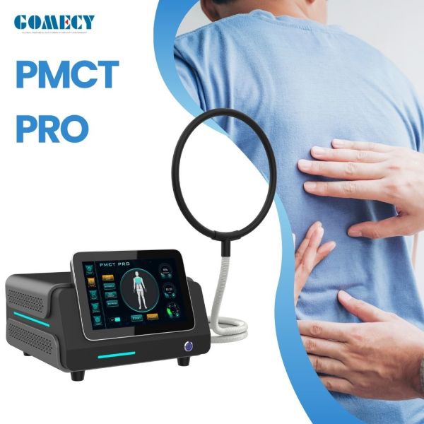 Pemf Magnetic Therapy Device Pmst Loop With Mattress Pemf Full Body Massage Mat Pemf Magnetic Therapy Mat