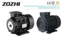 Os sistemas de lavagem tornam ôco o motor bonde 132M1-4 9.5KW 12.5HP do eixo para a bomba de NMT