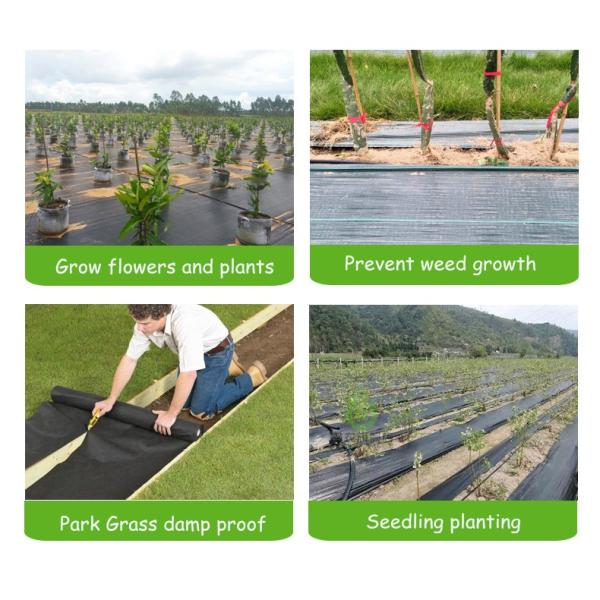Anti Grass 20ft HDPE Plastic Weed Mat 3.2oz Weed Barrier Ground Cover