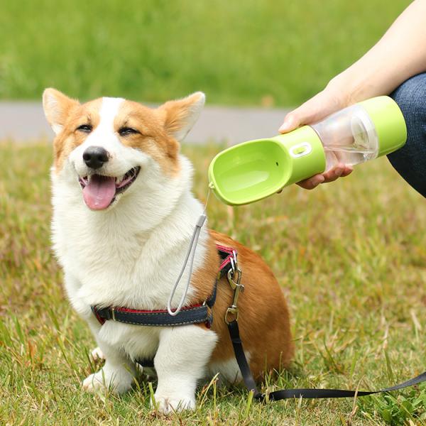 Silicone Dog Pet Drinking Water Bottle Portable Dispenser Customized For Travel