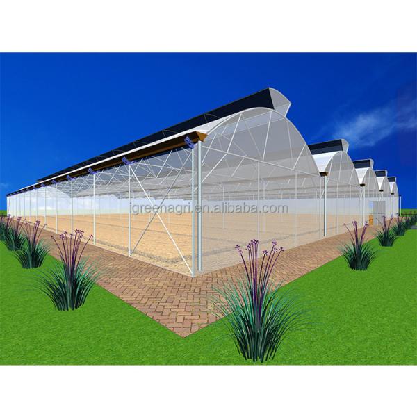 DWC deep water culture Hydroponics System Vertical Hydroponic For Agriculture
