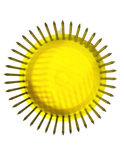 Couleur jaune de élevage de la Reine de l'apiculture de cage de la Reine d'aiguille pour l'apiculture