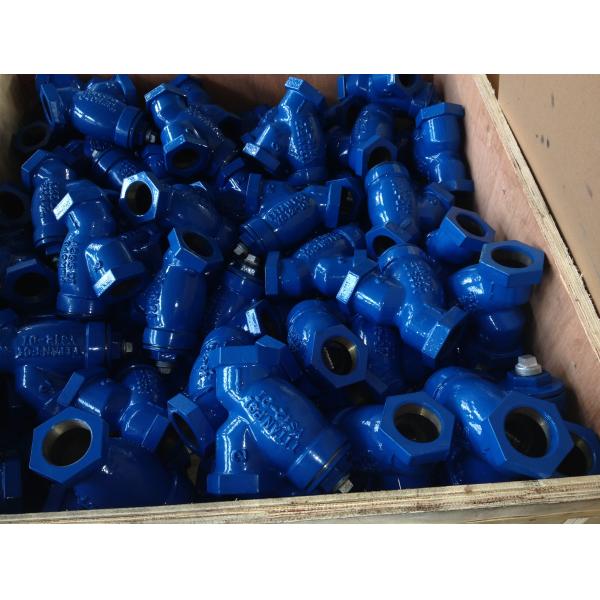 ANSI y strainer threaded ends