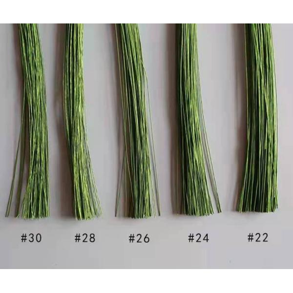 18 Gauge Green Straight Cut Florist 50pcs Paper Covered Wire 60cm Length