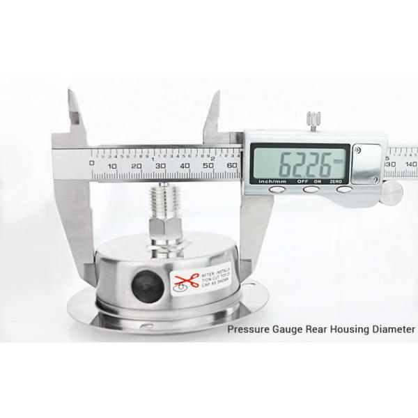 60mm Back Connection Pressure Gauge with Flange 250bar 304ss Liquid-Filled Manometer