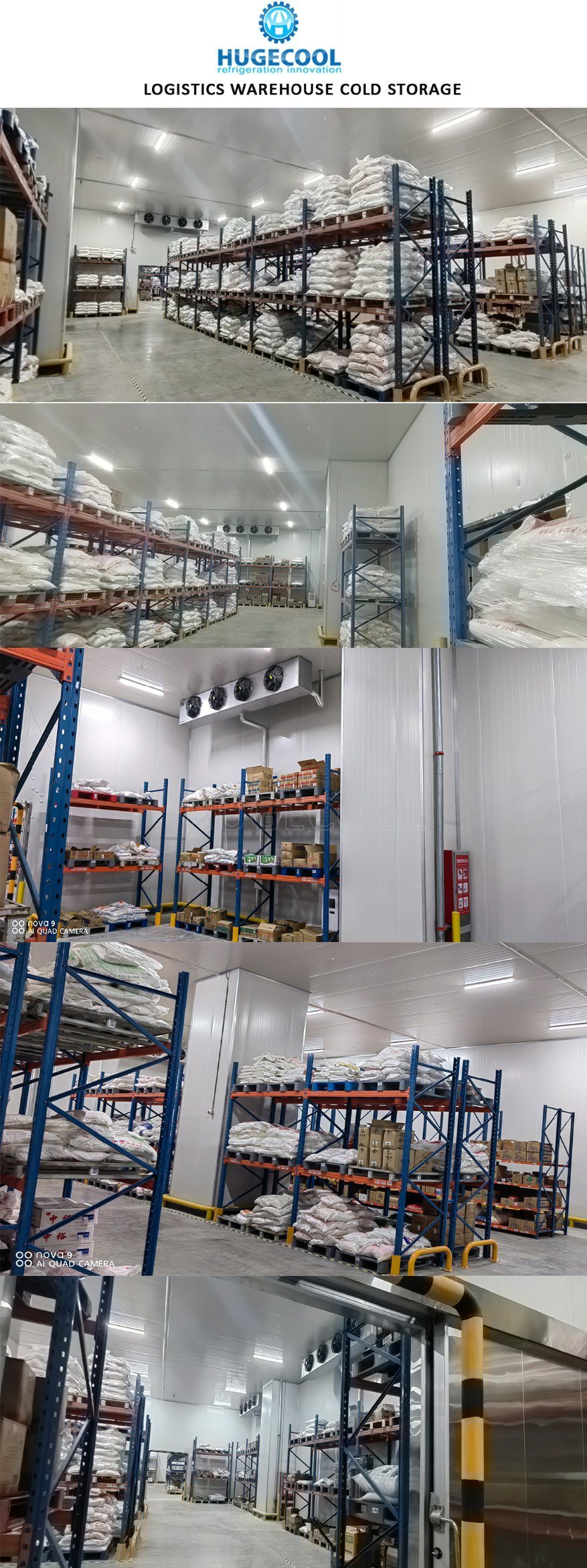 220V/380V/400V/440V Специализированное 50m*50m холодильное хранилище с решеткой системы охлаждения