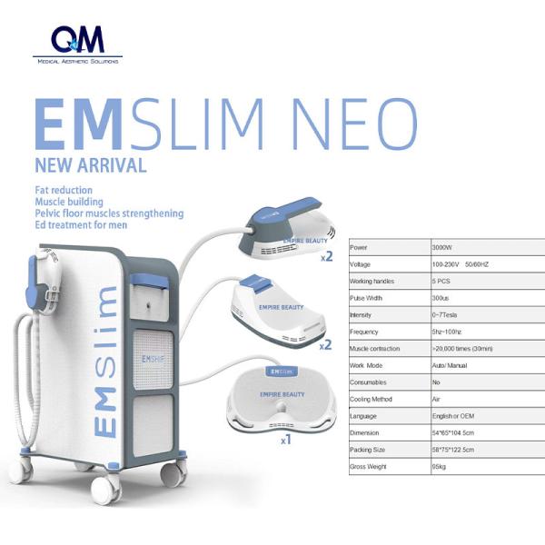 Renasculpt Body Slimming 2024 Neo RF EMS Machine Pelvic Floor Muscle Stimulation EMS Slim Device