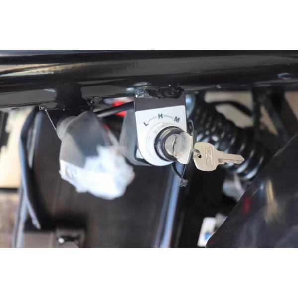 Two Seats Electric Go Cart with Front Disc Rear Disc Brake System and 60V Voltage