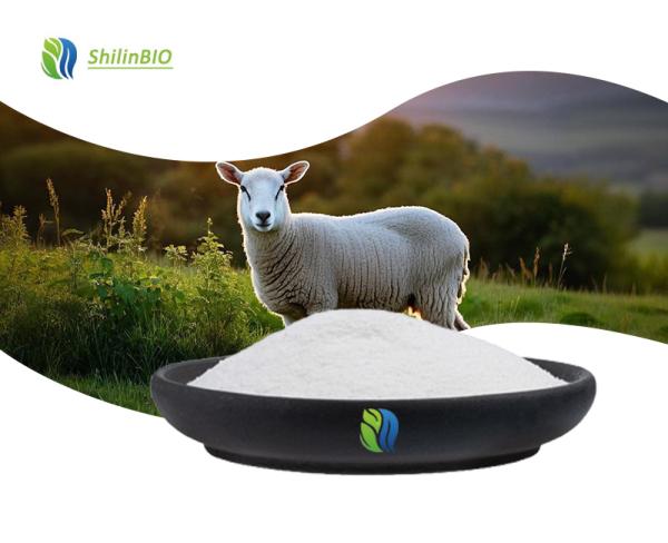 Sheep Placenta Extract Powder