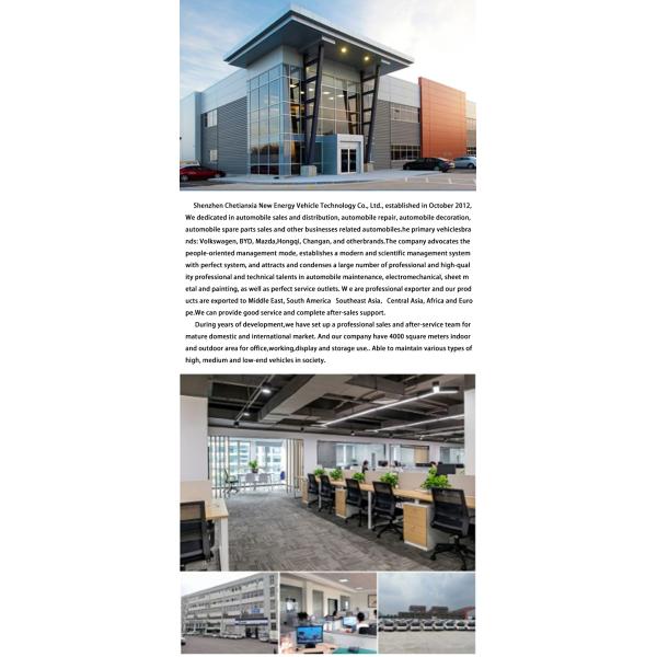 Седан 4 колеса Электрические электромобили Утонченный дизайн Новые энергетические автомобили