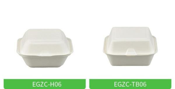 OEM ODM Biodegradable Takeaway Boxes High Temp Resistance 750ml Food Containers