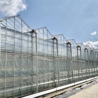 A agricultura chinesa moderou o tipo de vidro de Venlo da estufa galvanizou comercial