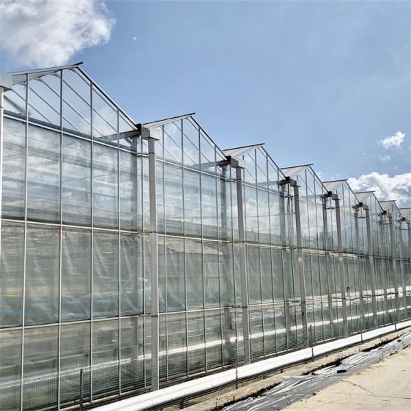 Tipo estufa de FarmingVenlo da agricultura para a hidroponia vegetal e o Aquaponics dos peixes