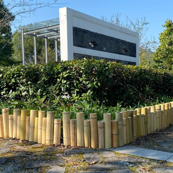 загородка границы тросточки 20x100cm бамбуковая окаймляясь для небольшого балкона сада декоративного