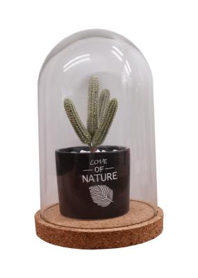 Linha baixa Dampproof do sulco da abóbada 2.5*2.2IN do ODM Mini Glass Bottle Corks Glass