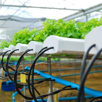 Full Hydroponic System Hydroponic Growing Tower Zip Channel HID Lighting