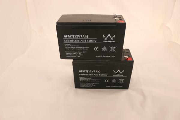 UPS Rechargeable Sealed Lead Acid Battery With F1/F2 Terminal
