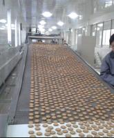 Linha de produção vegetal do biscoito do fuel-óleo 28.5kw 50kg/H