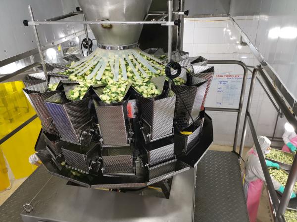 14 máquina automática vegetal do acondicionamento de alimentos das cabeças V620