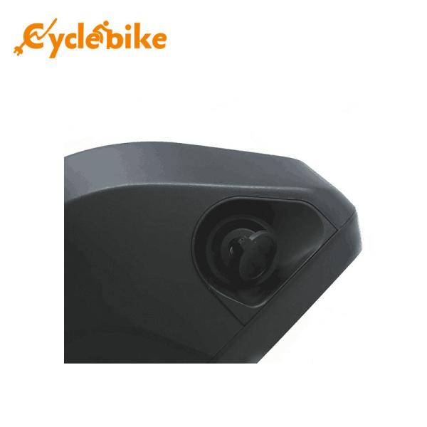 48v11.6ah Hailong Lithium Ion e-Bike Battery Case 380x92x90mm