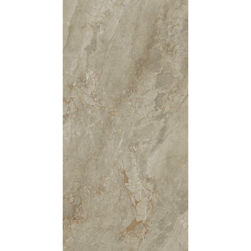 Moisture-proof Gray 600x1200mm Mould Surface Matt Porcelain Tiles For Living Room