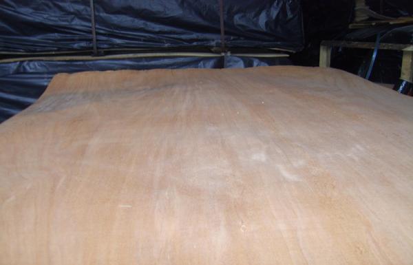 Rotary Cut Yellow Okoume Face Veneer , 0.20 mm - 0.60 mm Thickness
