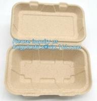 Carne do amido de milho da louça/bolo biodegradável Compostable/bandeja retangular