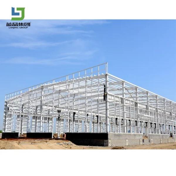 Custom Steel Structure Poultry House for Broiler Layer Chicken Farming