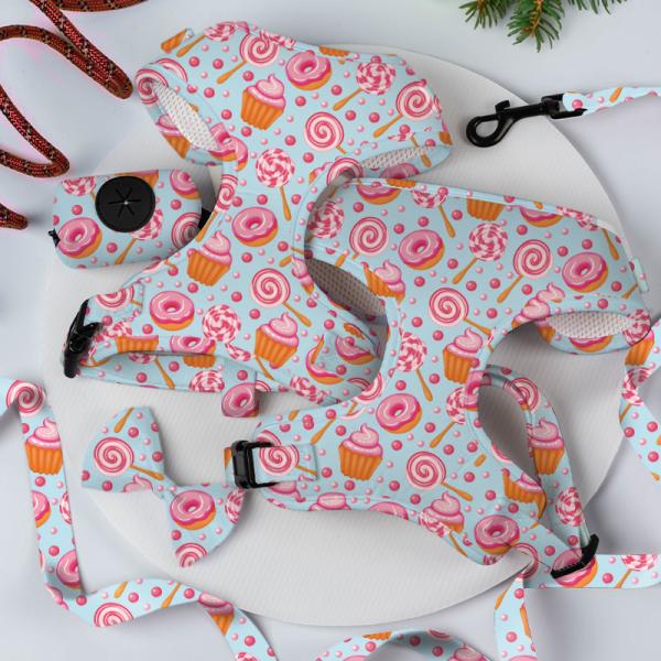 XS Dog Harness And Leash Set Sublimation Decoration Scarf Cat Harness Set