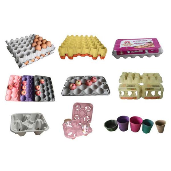 Máquina de moldear de la pulpa completamente automática ahorro de energía, máquina de la fabricación de la bandeja del huevo