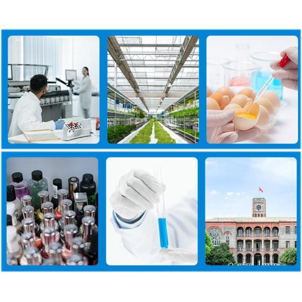 HR-60Z / HR-90Z High Shear Homogenizer Digital Display Mode Pilot For Food Industry