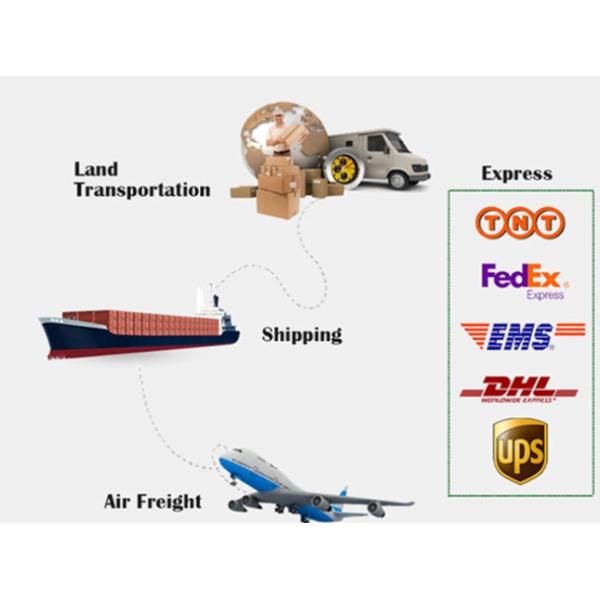 Breathable Kids Colorful Socks / Kids Ankle Socks Comfortable Kids Socks Custom Logo