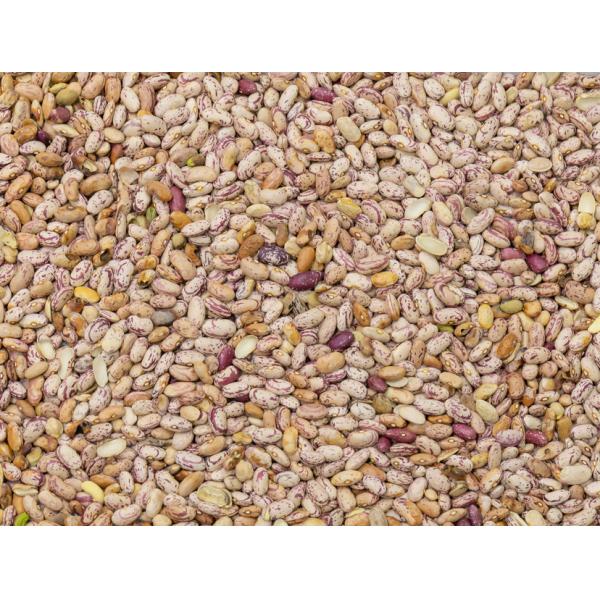 Good Quality Wenyao CE Certificated Cashew Color Sorter Machine Chestnut Color Sorting Machine