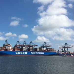 Options du service d'expédition internationale du conteneur 20GP/40GP/40HQ/40RH