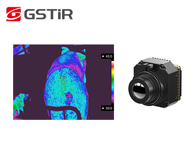 High Sensitivity Infrared Thermal Camera Module Core NETD 