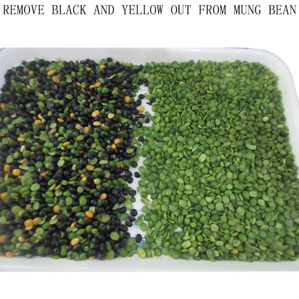 Машина сортировщицы цвета красных фасолей фабрики Китая оптовая мини 1 тонна в день