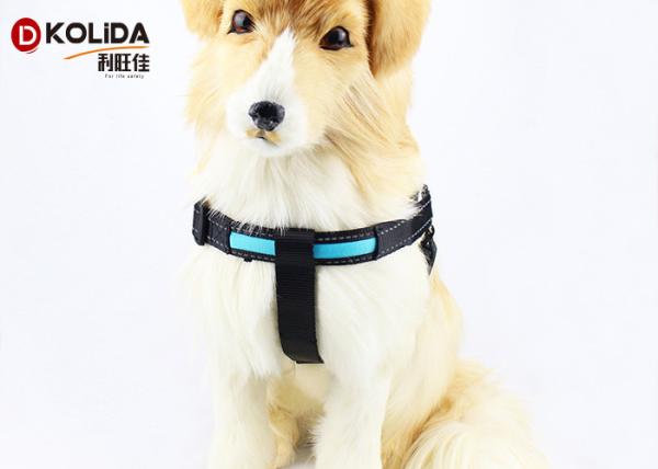 Blue / Green / Pink Luminious Nature Nylon LED Dog Harness 2.5x50cm