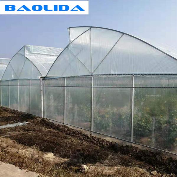 Полиэтиленовая пленка ISO9001 2008 парника пяди ясной крыши Sawtooth Multi