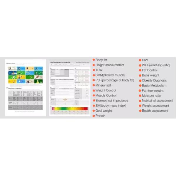 Professional Body Composition Analysis Machine Percentage Of Body Fat Analyzer with Printer
