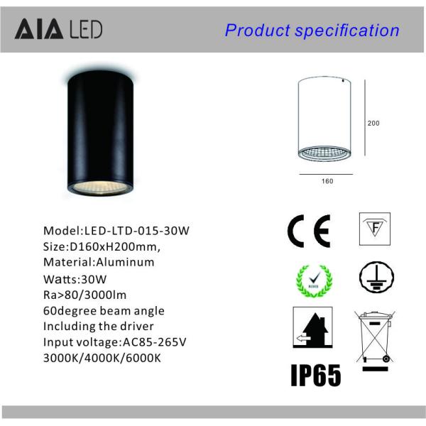 IP65 waterproof cylinder 30W led down light &exterior dimmable downlight led outdoor for hotel
