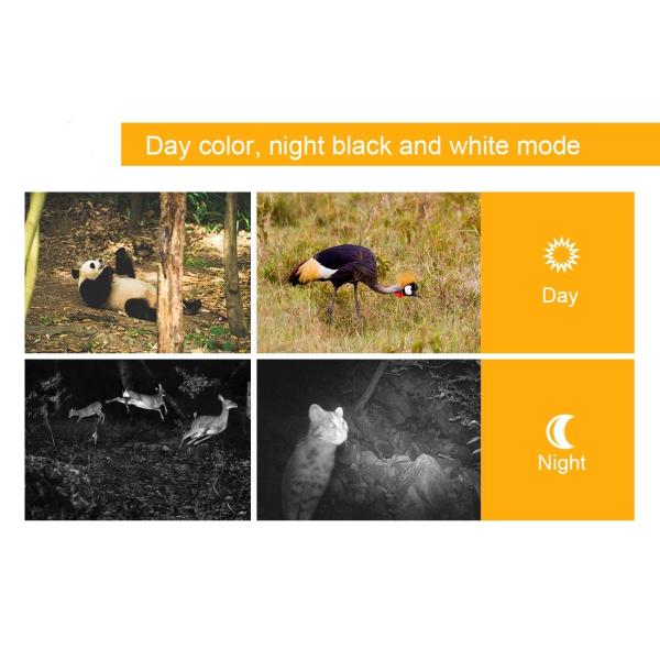 Ip65 Wifi Night Vision Game Camera 1080p Wildlife Hunting